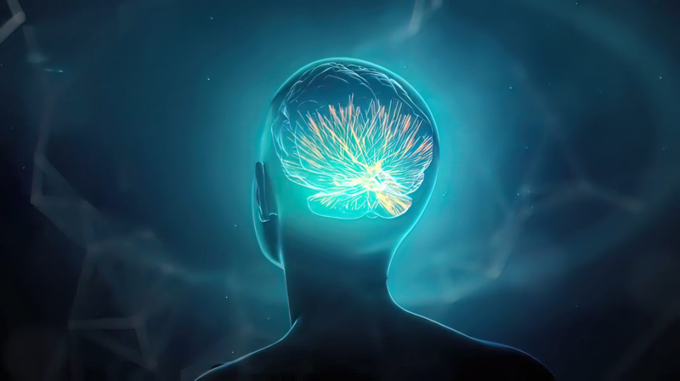 Si te filmi “The Matrix”, teknologjia transmeton aftësi të reja direkt në tru