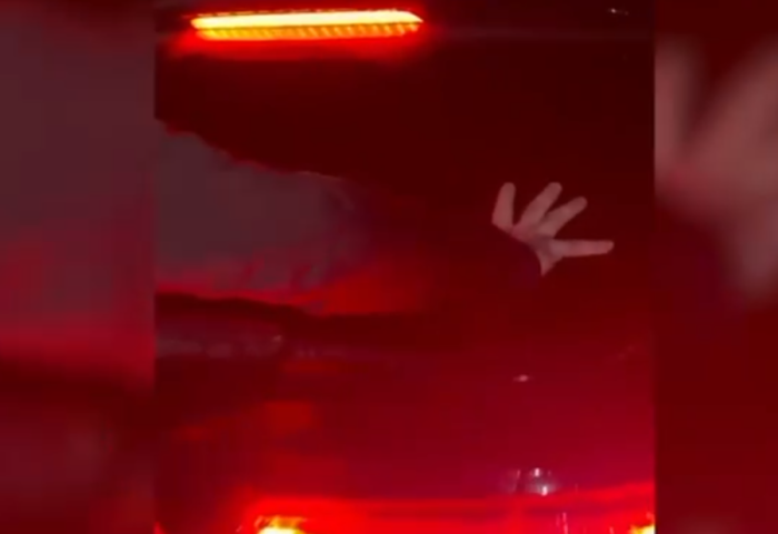 I gjenden pistoleta, armë gjahu dhe kokainë, në pranga 2 persona në Tiranë