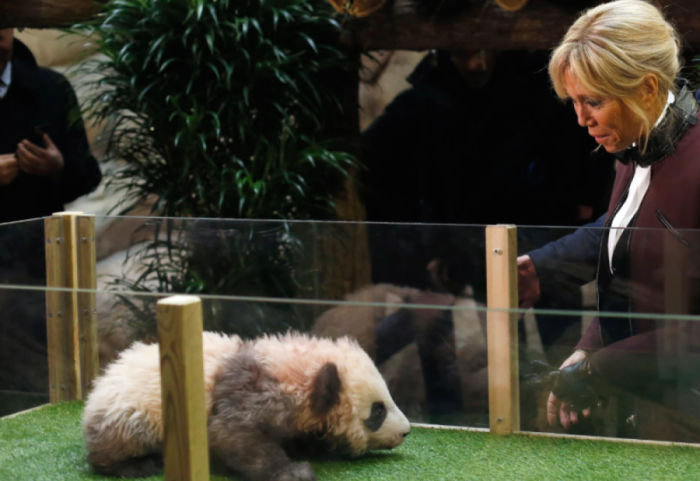 Brigitte Macron rikthehet në Kinë për ta takuar mikun e saj të vjetër