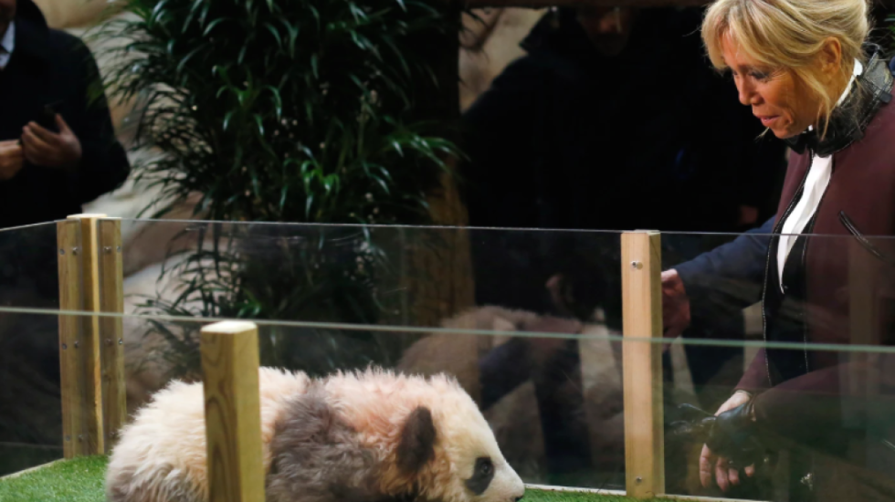 Brigitte Macron rikthehet në Kinë për ta takuar mikun e saj të vjetër