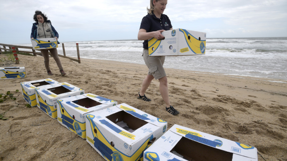 Bregdeti britanik mbushet me banane, autoritetet: Mos i hani