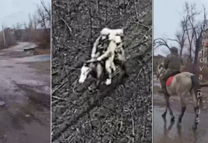 Lufta në Ukrainë/ Ushtarët rusë detyrohen të përdorin kuaj në front: Jemi pa pajisje