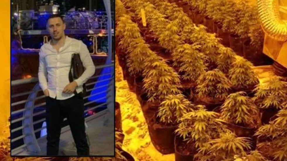 17 vite e 8 muaj burg për vëllain e ish-deputetit të PS dhe dy të tjerë, kthyen stanin në fermë kanabisi