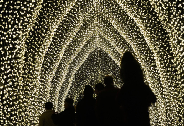 Golden Gate Park në San Francisko ndriçohet nga mbi një milion drita shumëngjyrëshe