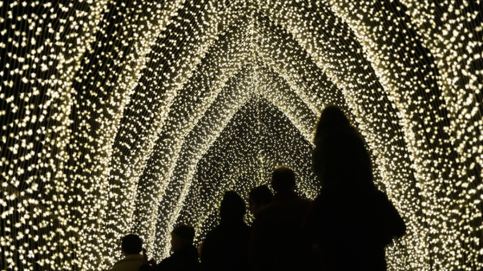 Golden Gate Park në San Francisko ndriçohet nga mbi një milion drita shumëngjyrëshe