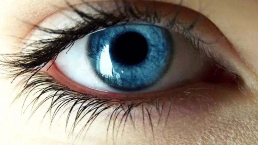 E thotë shkenca: Ndryshimi te sytë që zbulon nëse dikush ka tërheqje ndaj teje