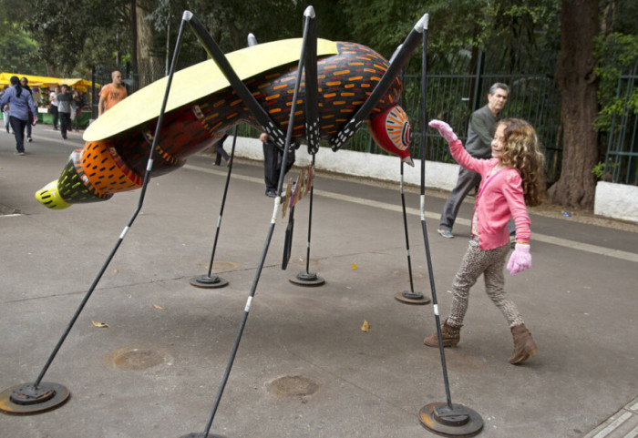 Raport alarmant në Kubë, mijëra viktima nga epidemitë e mushkonjave