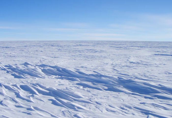 Kompania që i shpërbleu punonjësit me ar dhe udhëtime në Antarktidë
