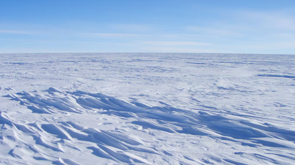 Kompania që i shpërbleu punonjësit me ar dhe udhëtime në Antarktidë