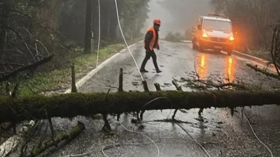 Era e fortë rrëzon pemën, bllokohet qarkullimi në Llogara. Mungon energjia elektrike