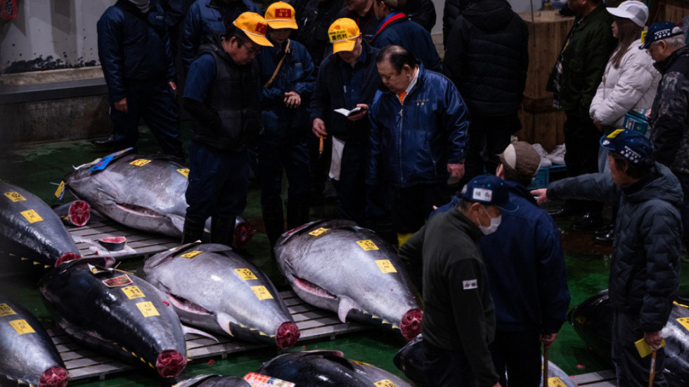 Thyhet rekordi, peshku ton shitet për 2.7 milionë euro në ankandin e Tokios