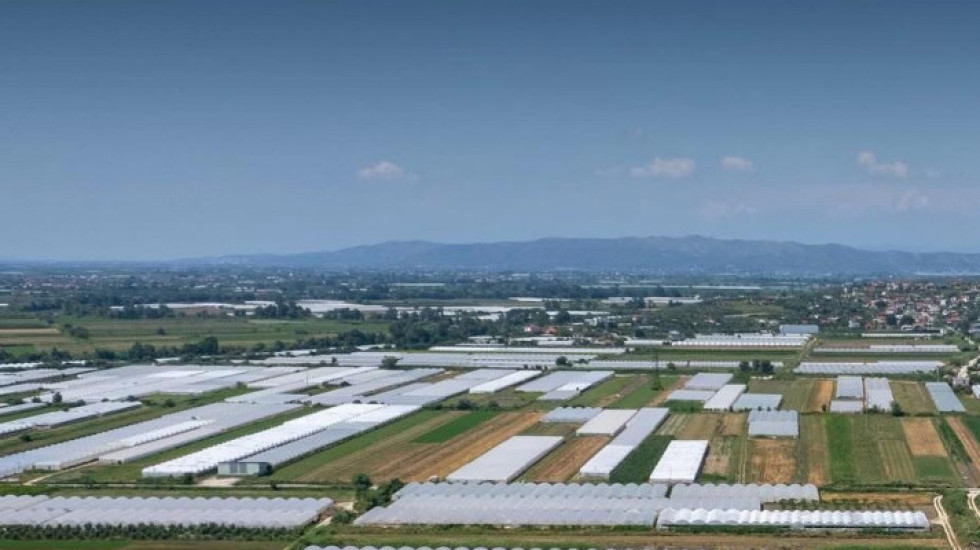 Skema Kombëtare e Mbështetjes, kalon kësti i dytë i pagesave për fermerët