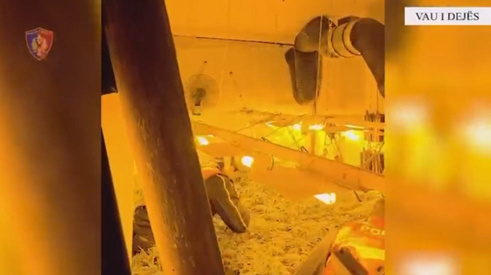 Zbulohen dy shtëpi bari në Vaun e Dejës, një në pranga. Ndalohen dhe 3 punonjës të OSHEE