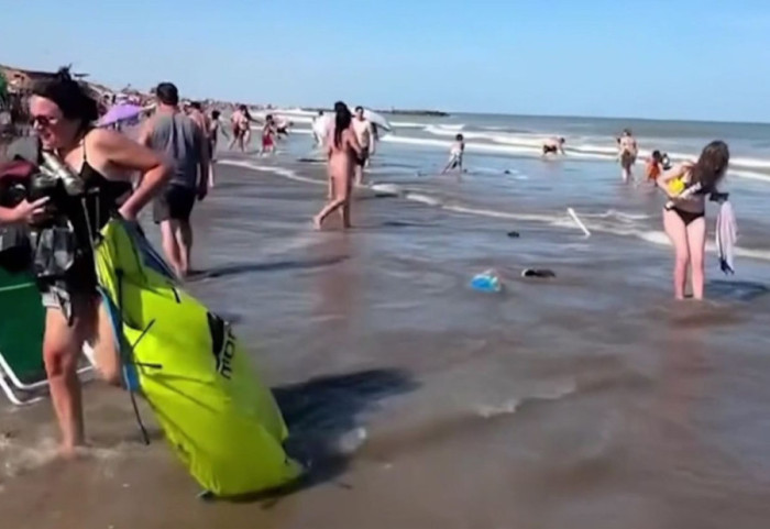 Valë gjigante në plazhin e Argjentinës, një viktimë