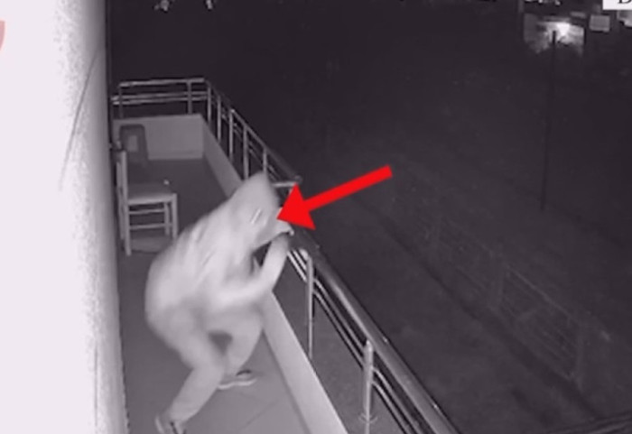 Vjedh një biznes e më pas tenton të vjedhë bankën, policia në kërkim