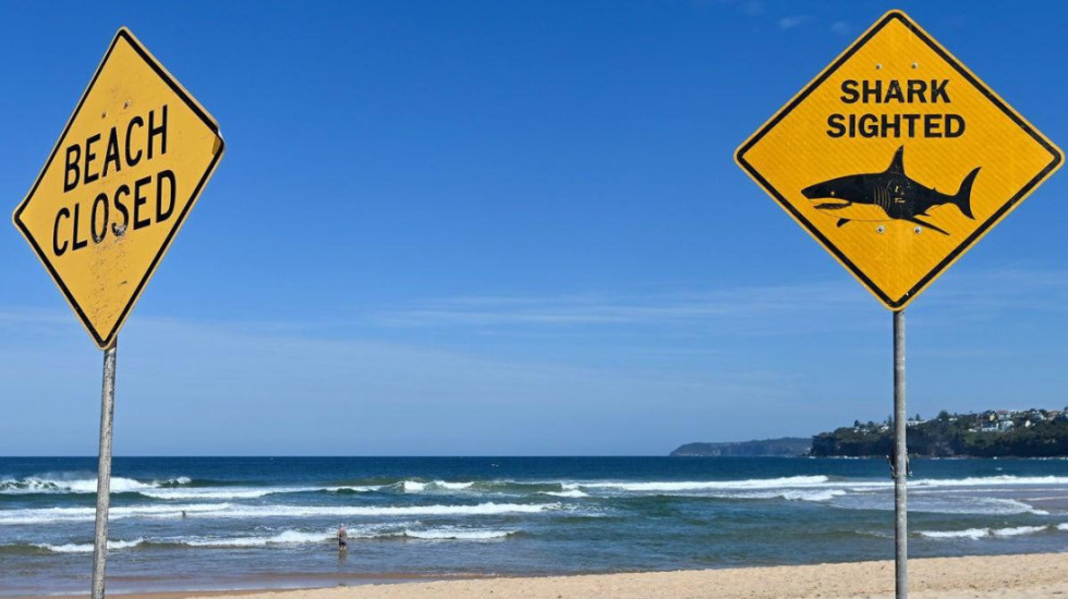 Mbipopullimi i ujërave dhe temperaturat në rritje të oqeanit, rritet numri i sulmeve nga peshkaqenët