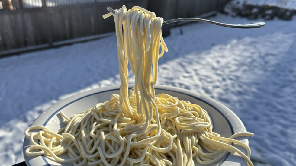 Acari në SHBA, art me makaronat e ngrira në -29°C