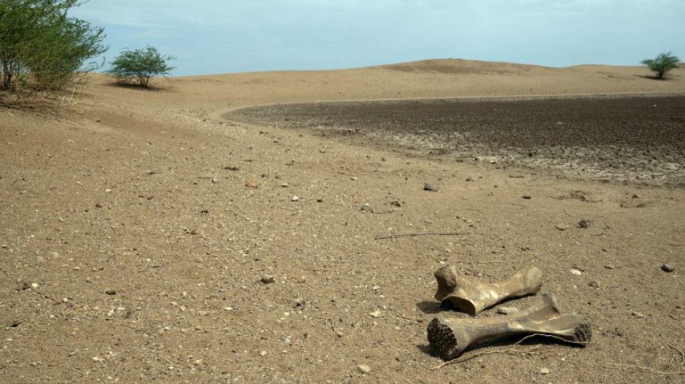 “Planetit po i shteron uji”, OKB paralajmëron krizën globale