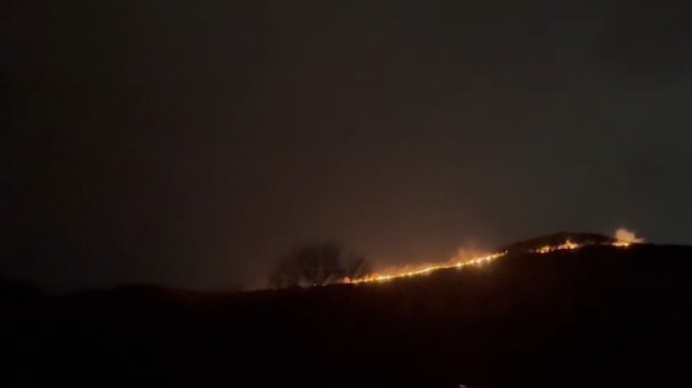 Vlorë, përfshihet nga flakët zona e kënetës në Orikum