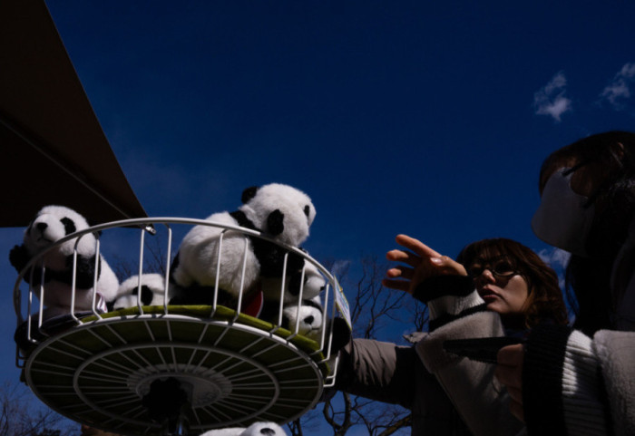 Lamtumira me lot ndërsa Japonia kthen pandat në Kinë