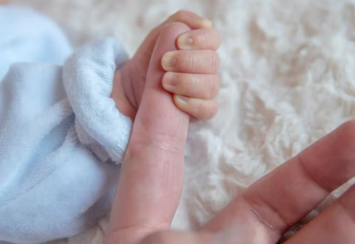 Punonjësja mori leje lindje, kompania falsifikon mbylljen e aktivitetit për ta pushuar nga puna, por e pëson në gjykatë