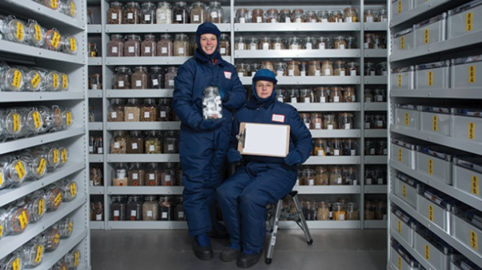 U projektua për rimëkëmbjen pas një katastrofe globale, çfarë fsheh brenda “Kutia e Apokalipsit”?