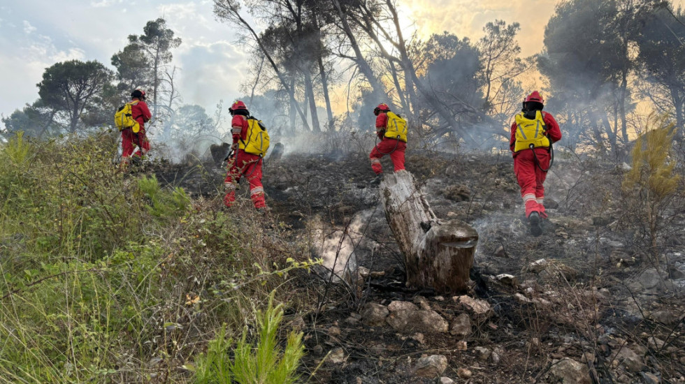 Zjarret shkatërruese gjatë verës, mbi 345 milionë lekë dëmshpërblim për 15 Bashki