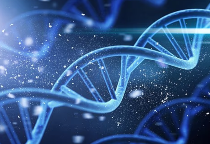 Sekreti i jetëgjatësisë? Shkencëtarët: Fshihet kryesisht në gjene, jo në dietë apo ushtrime fizike