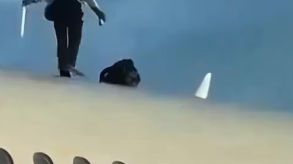 E pazakontë, pasagjeri ngjitet mbi avion në Valencia