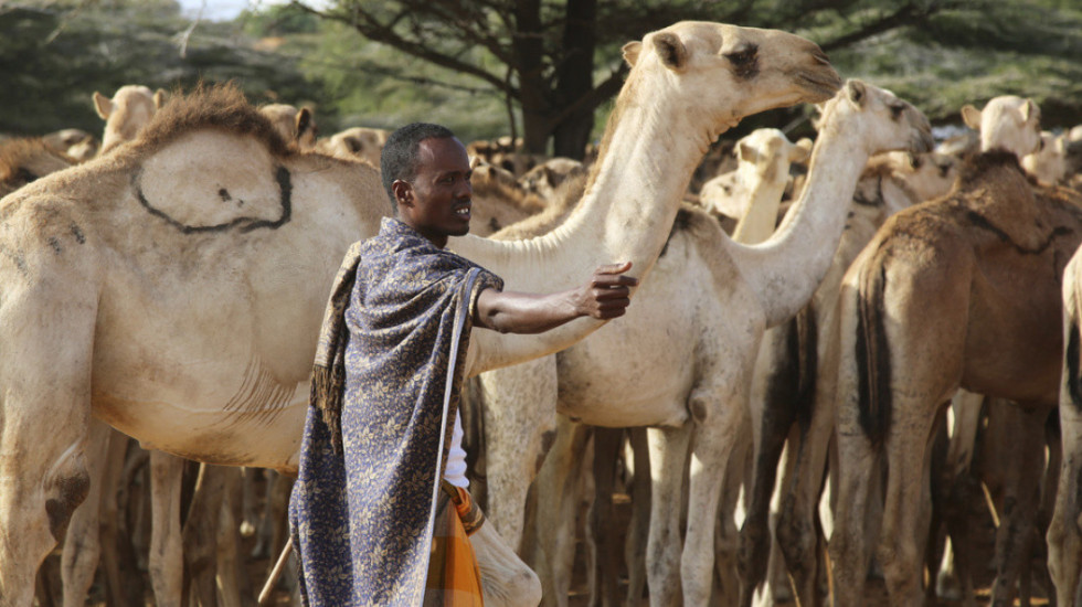 Devetë pajisen me pasaportë në Arabinë Saudite, zbulohen arsyet