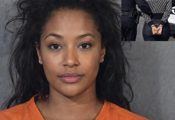 I dërgoi 159 mijë mesazhe pas vetëm një takimi, femra në SHBA arrestohet për ngacmim