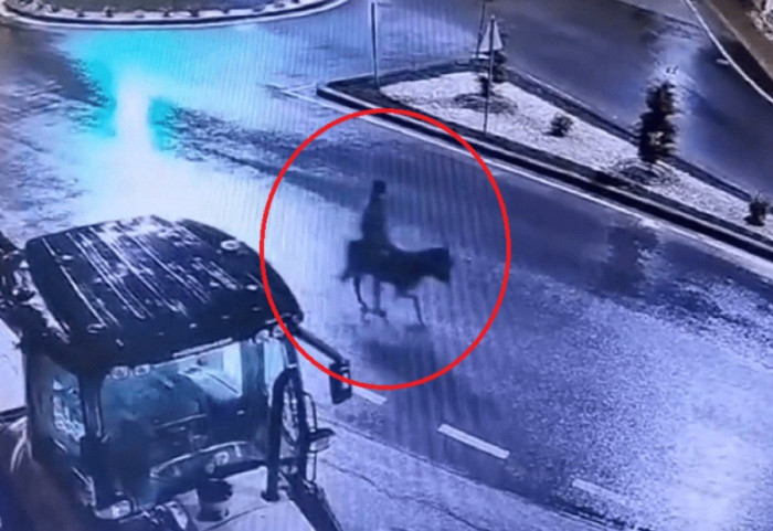 Grabitje spektakolare, hajduti arratiset mbi gomar pas vjedhjes së argjendarisë