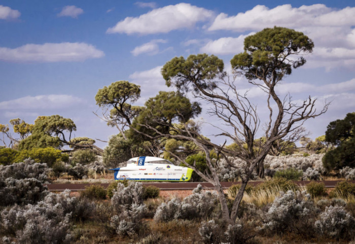 "Darwin Day", festohet dita e Evolucionit