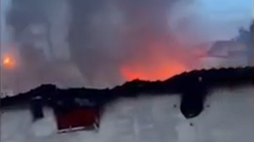 Shkrumbohet stalla në Selenicë, digjen dhjetëra kafshë, dëmet të mëdha