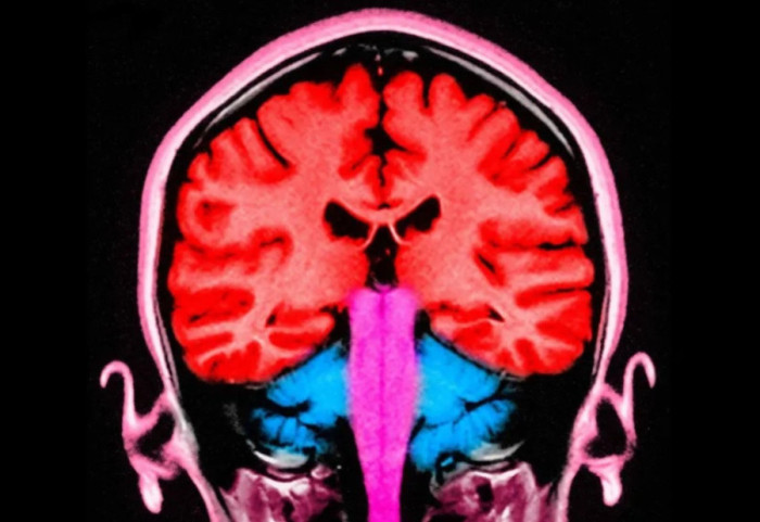 A mund të na bëjë më pak egoistë një puls elektriciteti në tru?