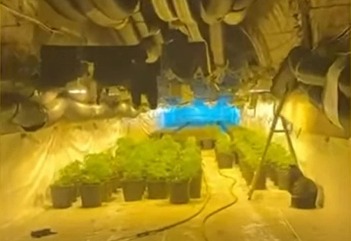 "Iu shpëtuan" shtëpitë e barit pa zbuluar, pezullohen 7 efektivë, mes tyre dhe shefi i komsiariatit