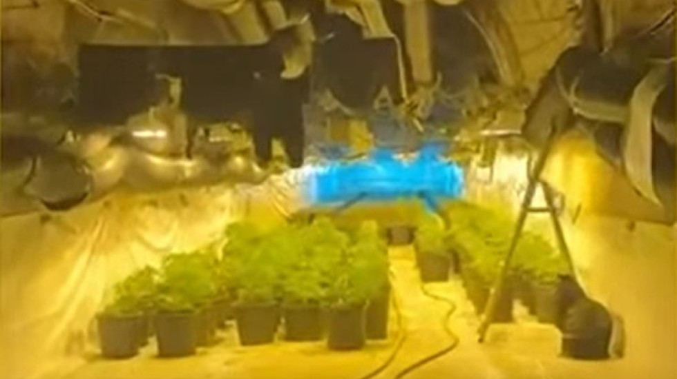 "Iu shpëtuan" shtëpitë e barit pa zbuluar, pezullohen 7 efektivë, mes tyre dhe shefi i komsiariatit