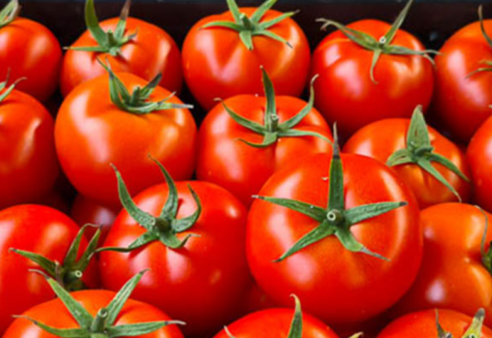 Domatja është frut apo perime?