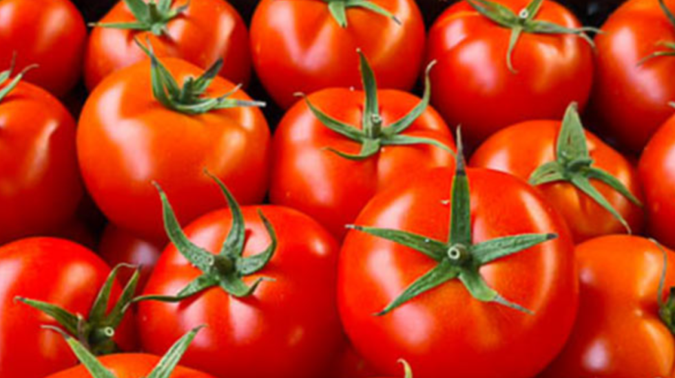 Domatja është frut apo perime?