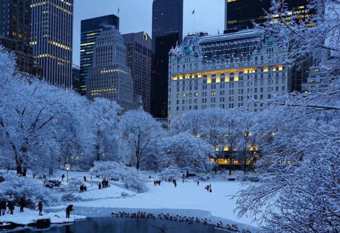 Taksa shumë të larta, miliarderët largohen nga New York