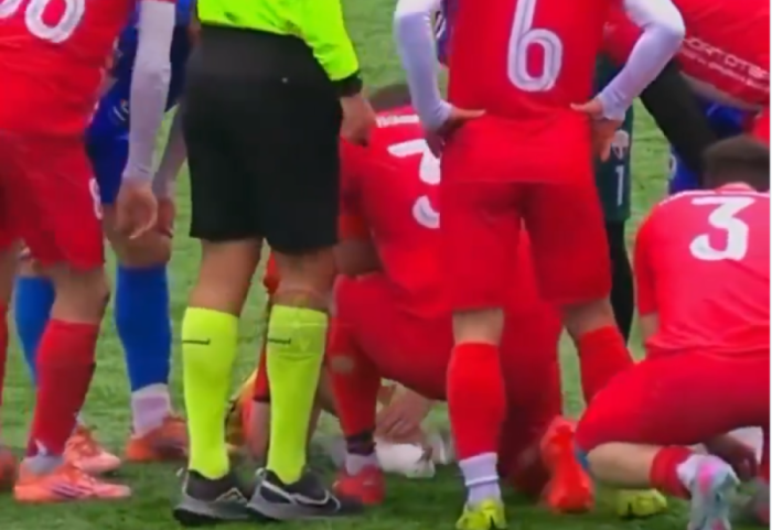 Futbollisti në Turqi i shpëton jetën një pulëbardhe duke i bërë CPR