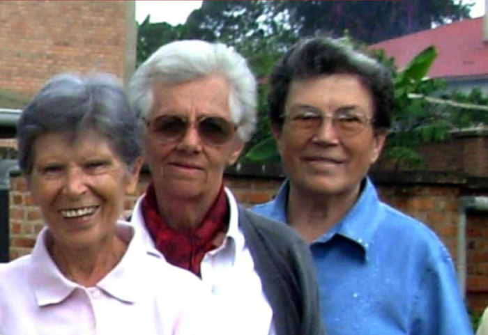 Vrau 3 murgesha në dy ditë, kapet në Parma 50 vjeçari