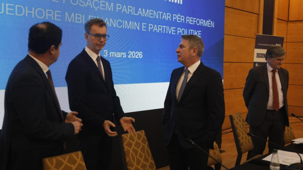 "Vija dalluese mes shtetit e partisë të jetë e theksuar", Gonzato: Transparencë për financimin