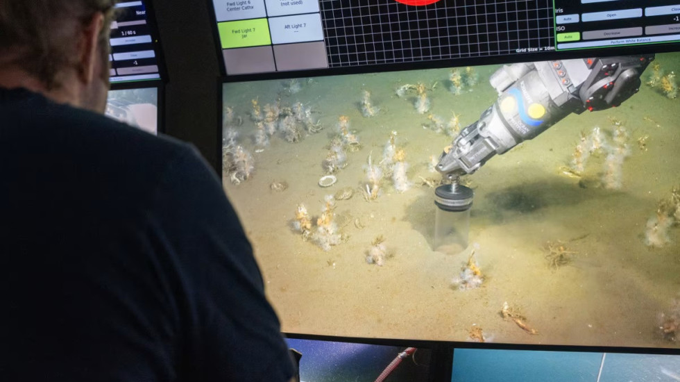 Mikrobi që shpjegon jetën tonë komplekse në Tokë, nga e kemi prejardhjen?