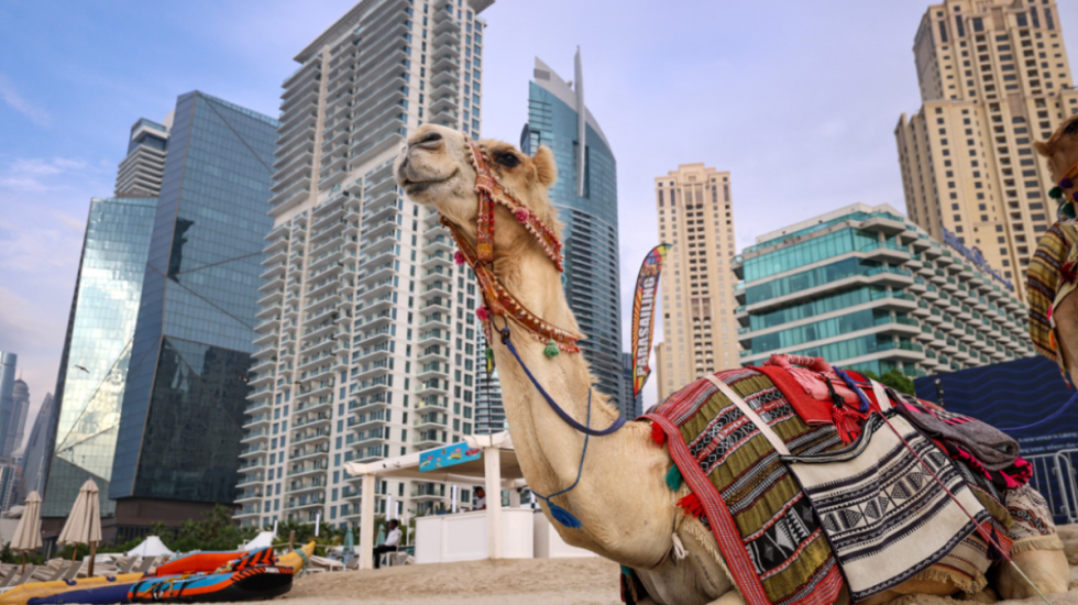 Dubai, një qytet fantazmë! Devetë dhe shezlongjet bosh në plazhet idilike të VIP-ave