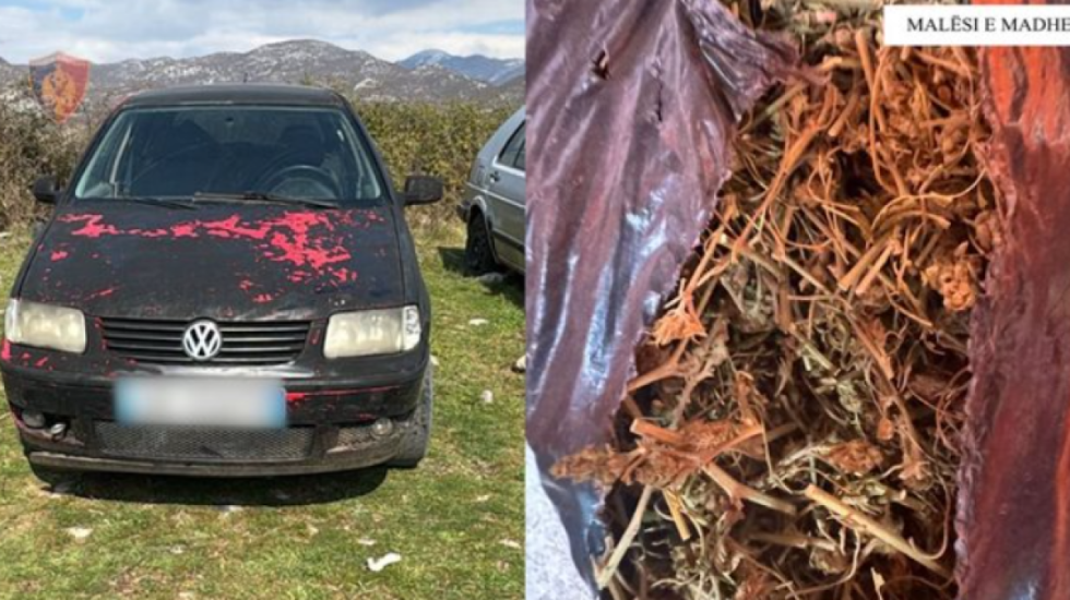 Vodhi dy makina në Malësinë e Madhe, arrestohet, e pësojnë dhe dy xhaxhallarët e tij