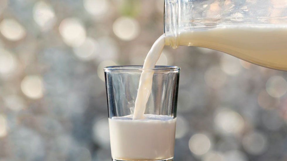 Një gotë qumësht në ditë ul rrezikun e goditjes në tru deri në 10%