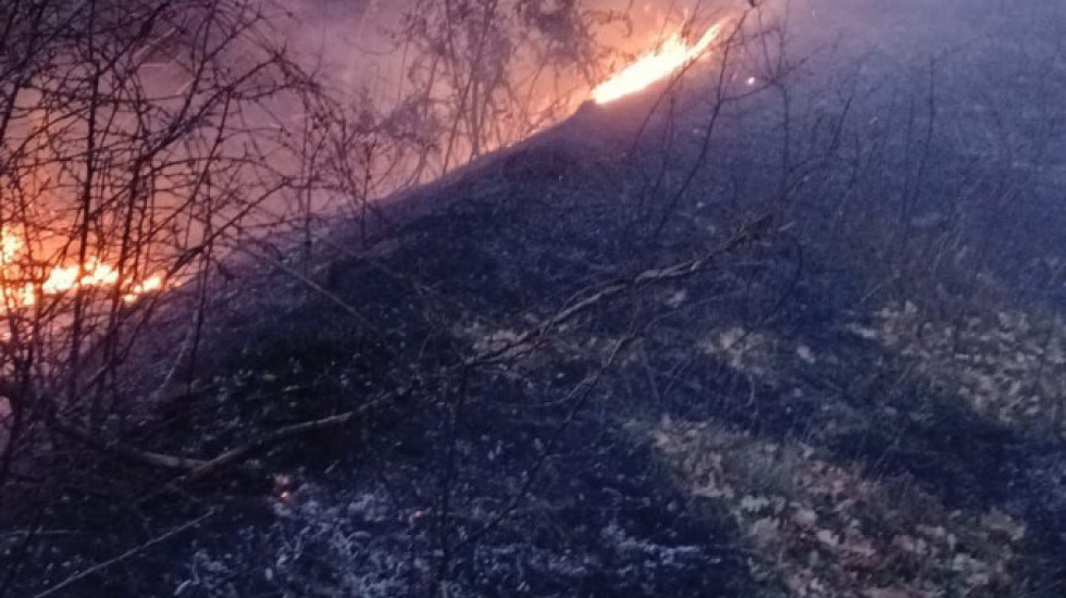 Pas Bulqizës, edhe Pogradeci në alarm nga zjarret: Era ndihmon përhapjen e flakëve në Somotinë