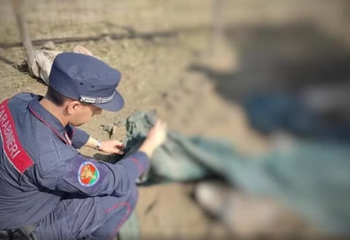 Zbulohet “ferma e tmerrit”: Kafshë të keqtrajtuara dhe kufoma në dekompozim