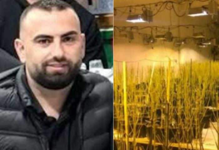 Mijëra rrënjë kanabis në banesën në pronësi të tij, drejtori i burgut të Rrogozhinës dorëzohet në polici